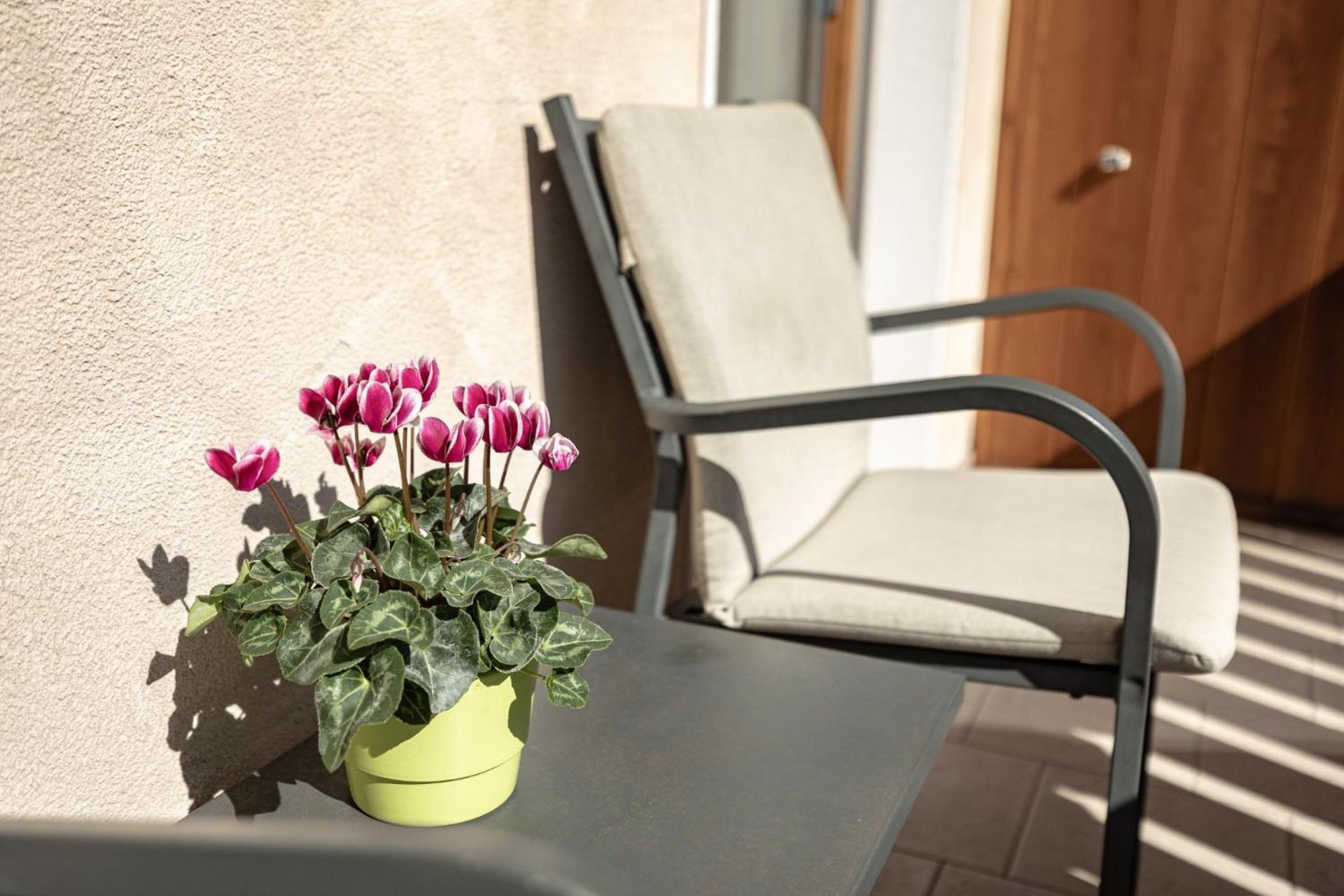 Apartments Soval Santa Cristina Val Gardena Dış mekan fotoğraf