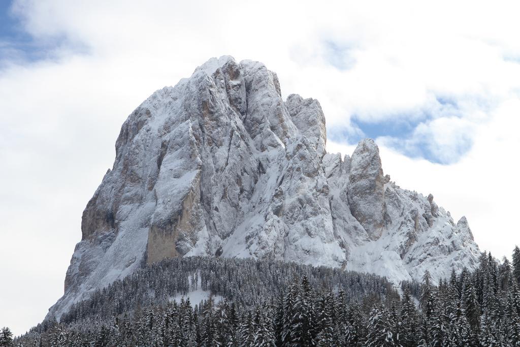Apartments Soval Santa Cristina Val Gardena Dış mekan fotoğraf
